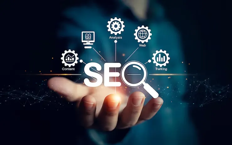 Professional SEO Services