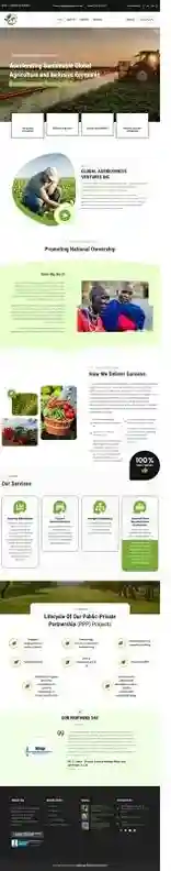 More Website Projects — website designed and developed by Your Firm Growth